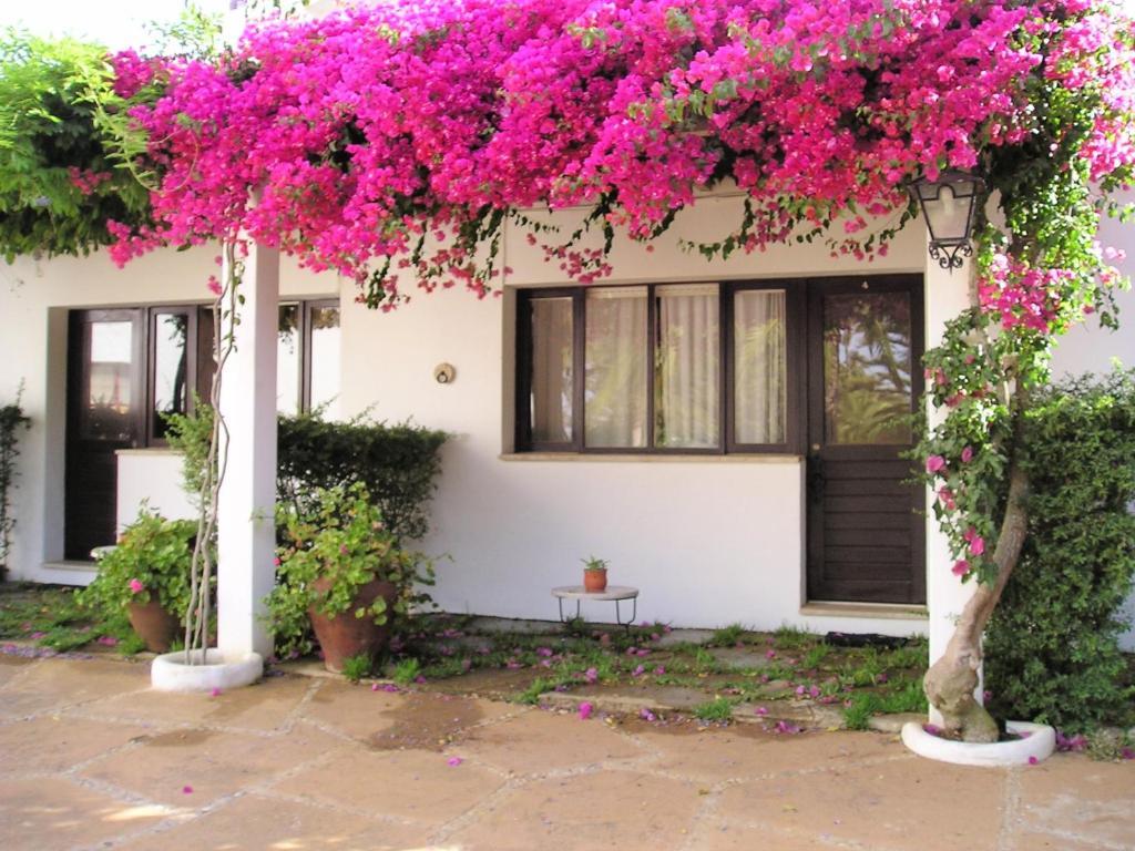 Quinta Da Ameijeira Lagos Chambre photo